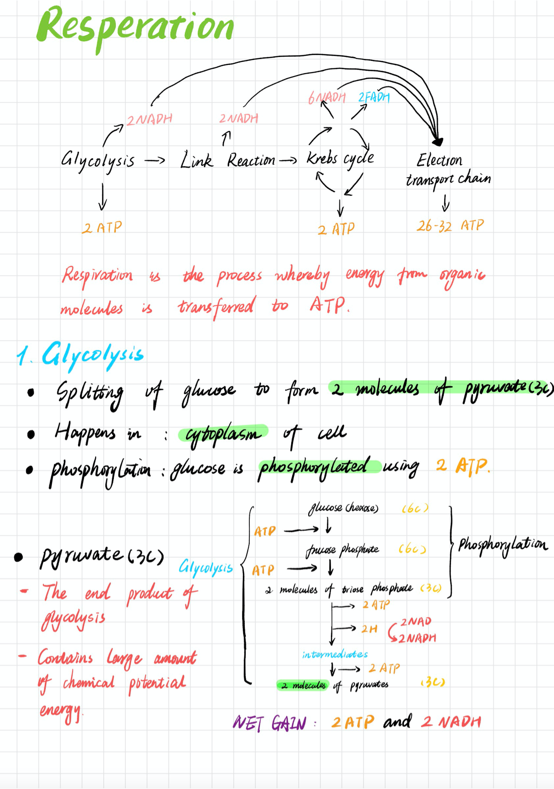 COURSEMO牛剑教育 名师板书 高维蔚